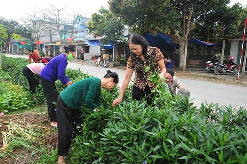 Những đoạn đường, tuyến phố xanh - sạch - đẹp