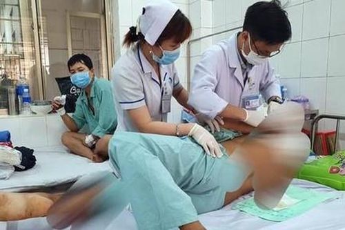 Vào rẫy làm thuê, một người nghi bị bò tót húc gãy xương vai