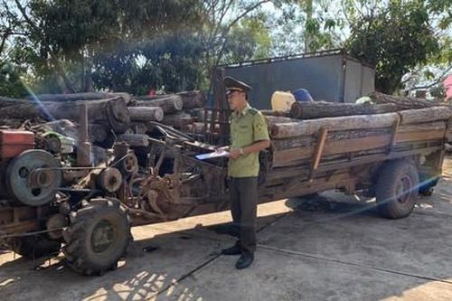 Đắk Lắk: Điều tra hàng chục ngàn héc ta rừng bị tàn phá, lấn chiếm