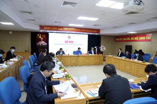 Chủ động triển khai thực hiện Luật Thanh niên