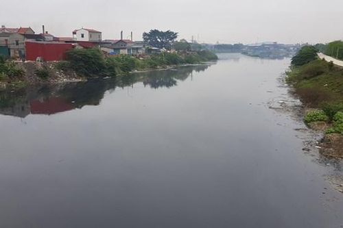 Vụ sông Cầu ô nhiễm, cá lồng chết trắng, 2 bộ vào cuộc yêu cầu Bắc Ninh xử lý vi phạm