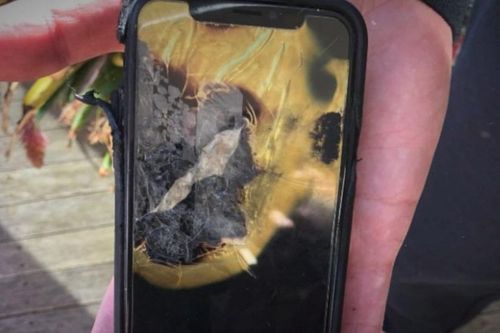 Kiện Apple vì iPhone tự nổ trong túi quần