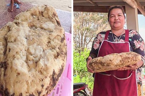 Người phụ nữ tìm thấy vật thể nghi là Long Diên Hương
