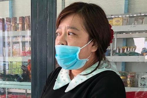 Bắt nữ giám đốc lừa tiền tỷ ở Cà Mau