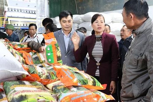 Gỡ khó cho hợp tác xã chuyên ngành