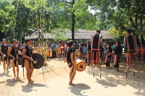'Gieo hạt mầm' bảo tồn di sản