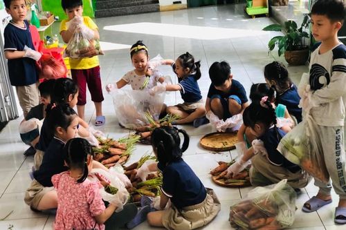Trường mầm non 'giải cứu' nông sản cho vùng dịch Hải Dương