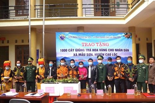 Trao tặng 1.000 cây giống trà hoa vàng cho người nghèo biên giới