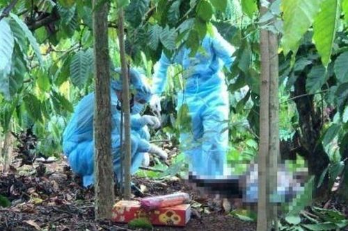 Thi thể không nguyên vẹn của nam thanh niên trong rẫy cà phê