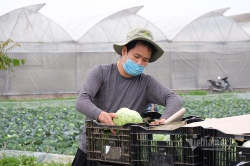 Đưa nông sản lên sàn, thoát cảnh nhếch nhác chờ 'giải cứu' ở vỉa hè