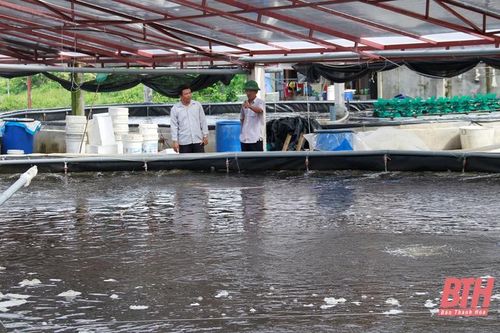 Đa dạng đối tượng nuôi trồng thủy sản vụ xuân hè