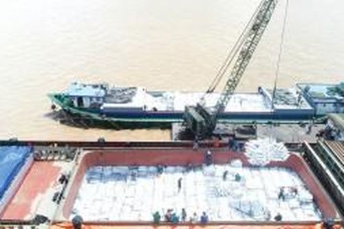 An Giang: 2 tháng đầu năm, kim ngạch xuất khẩu đạt 151,5 triệu USD