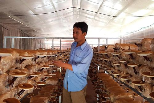 Nhiều kết quả nổi bật trong hoạt động khoa học và công nghệ cấp huyện