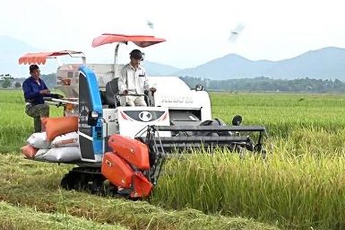 Cẩm khê đổi mới công tác đào tạo nghề
