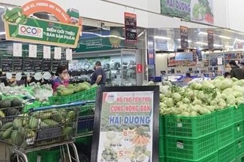 Hướng dẫn thu mua, tiêu thụ hàng hóa, nông sản của vùng đang có dịch