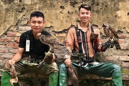 Thú chơi nuôi chim đại bàng