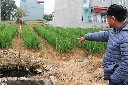 Hải Phòng: Tái định cư gốc Lim bị bỏ quên, hàng chục hộ dân kêu cứu