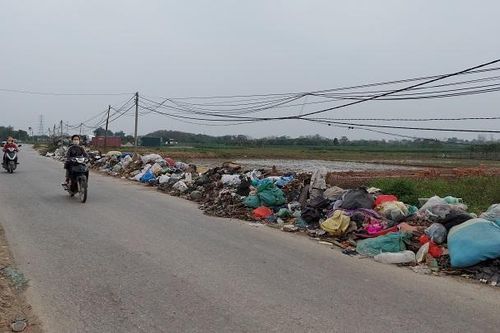 Tỉnh lộ nguy cơ biến thành bãi rác