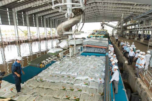 Các DN phân bón tăng tốc bảo đảm nguồn cung cho vụ Hè Thu