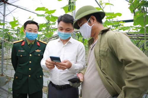 Ứng dụng chuyển đổi số của Viettel Post giúp 'giải cứu' nông sản Hải Dương