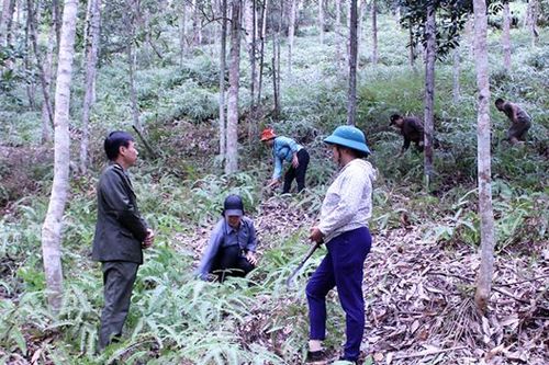 Giúp người dân gắn bó hơn với rừng