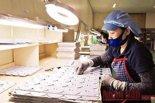 Chênh lệch trong tỷ lệ thất nghiệp giữa nam và nữ
