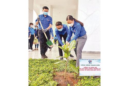 Nhiều hoạt động thiết thực của tuổi trẻ thành phố