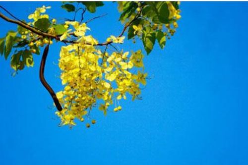 Vợ đẹp và giỏi giang, chồng vẫn nói lời yêu thương với nữ tạp vụ