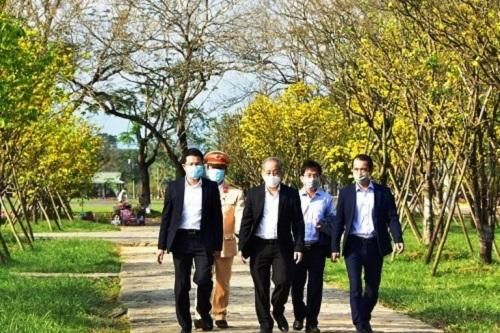 Thừa Thiên Huế phát động phong trào 'Mai vàng trước ngõ'