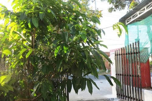 Anh em chồng trả tôi 3 triệu đồng/tháng để làm osin cho họ