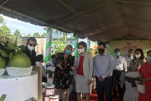 Hoàn thiện chuỗi giá trị nông nghiệp khép kín cho bưởi da xanh Bến Tre