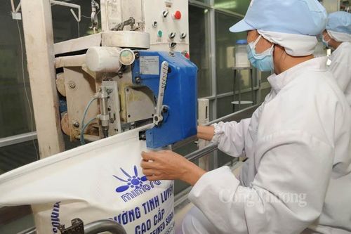 Phòng vệ thương mại đường: Hiệu quả tích cực cho doanh nghiệp và người trồng mía