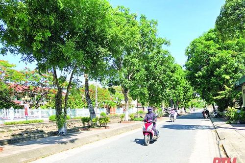 Đảng bộ huyện Nga Sơn đưa Nghị quyết Đại hội Đảng vào cuộc sống