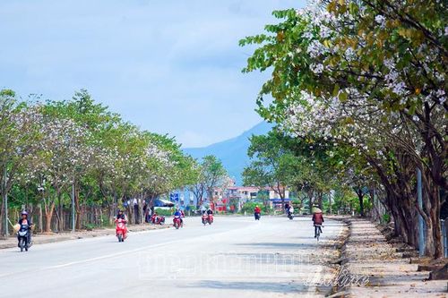 Thêm một lần lỗi hẹn với hội hoa