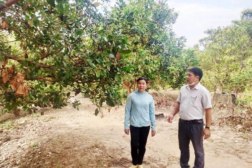Nhiều hộ dân huyện Chư Prông mong sớm được cấp bìa đỏ
