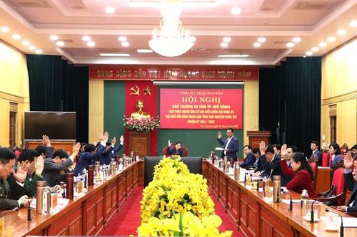 Giới thiệu nhân sự Thường trực Tỉnh ủy ứng cử đại biểu Quốc hội, HĐND tỉnh
