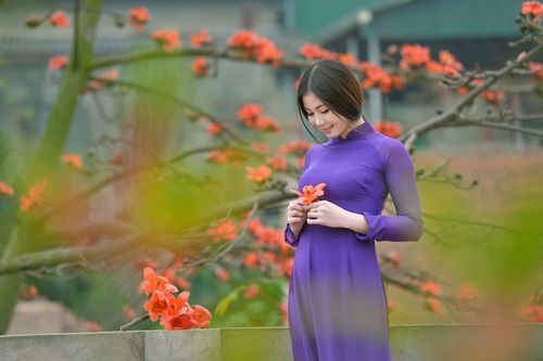 Facebook, Zalo 'sáng rực' hình ảnh áo dài Việt Nam