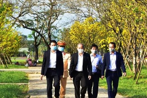 Thừa Thiên-Huế: Phát động phong trào 'Mai vàng trước ngõ'