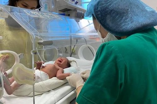 Bé sơ sinh 2 ngày tuổi bị bỏ rơi ở rừng tràm bên bờ biển