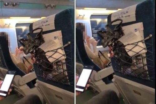 Bị nhắc nhở trên tàu, cô gái Hàn quát: 'Có biết bố tôi là ai không?'
