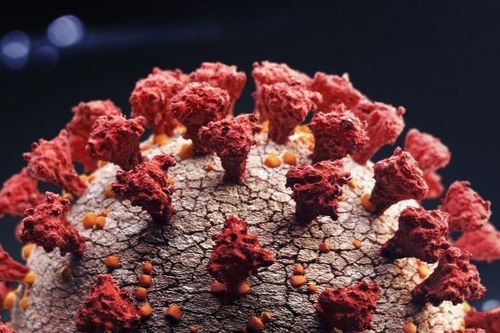Anh phát hiện biến chủng mới của virus corona