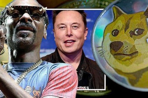 Dogecoin quá thiếu nghiêm túc để được xem như tiền tệ