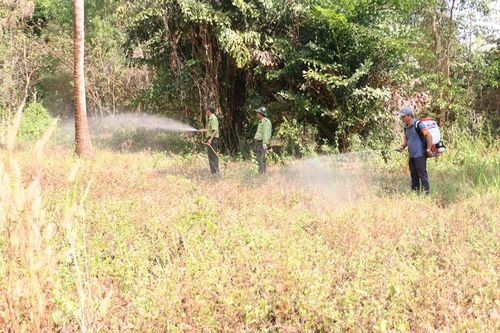 Một ngày, xảy ra hai vụ cháy rừng tại An Giang