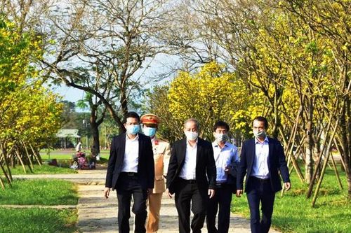 Xây dựng Huế thành xứ sở mai vàng của Việt Nam.