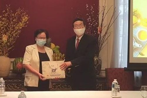 Đại sứ Việt Nam tại Bỉ động viên kiều bào trước khó khăn của dịch Covid-19