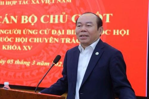 Giới thiệu Chủ tịch Liên minh Hợp tác xã Việt Nam ứng cử đại biểu Quốc hội