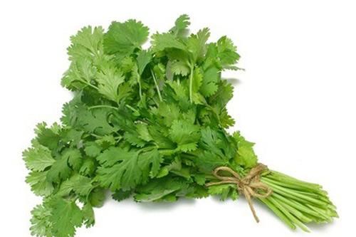 Tác dụng của rau mùi trong trị bệnh nhiều người không biết