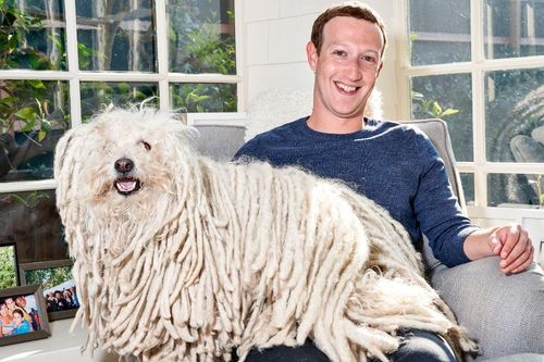 Điểm danh những chú cún cưng 'cute lạc lối' của những tỉ phú công nghệ