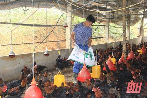 Huyện Lang Chánh tạo bứt phá ngay từ đầu nhiệm kỳ