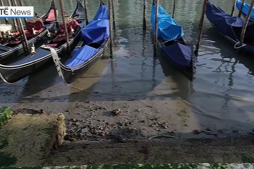 Thủy triều xuống thấp, kênh đào Venice cạn trơ đáy